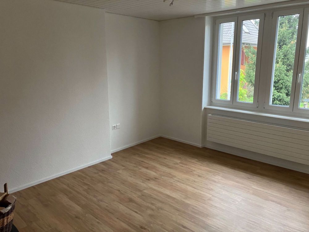 Erstbezug! Vollrenovierte Luxus Wohnung mit Garage - Bild 1