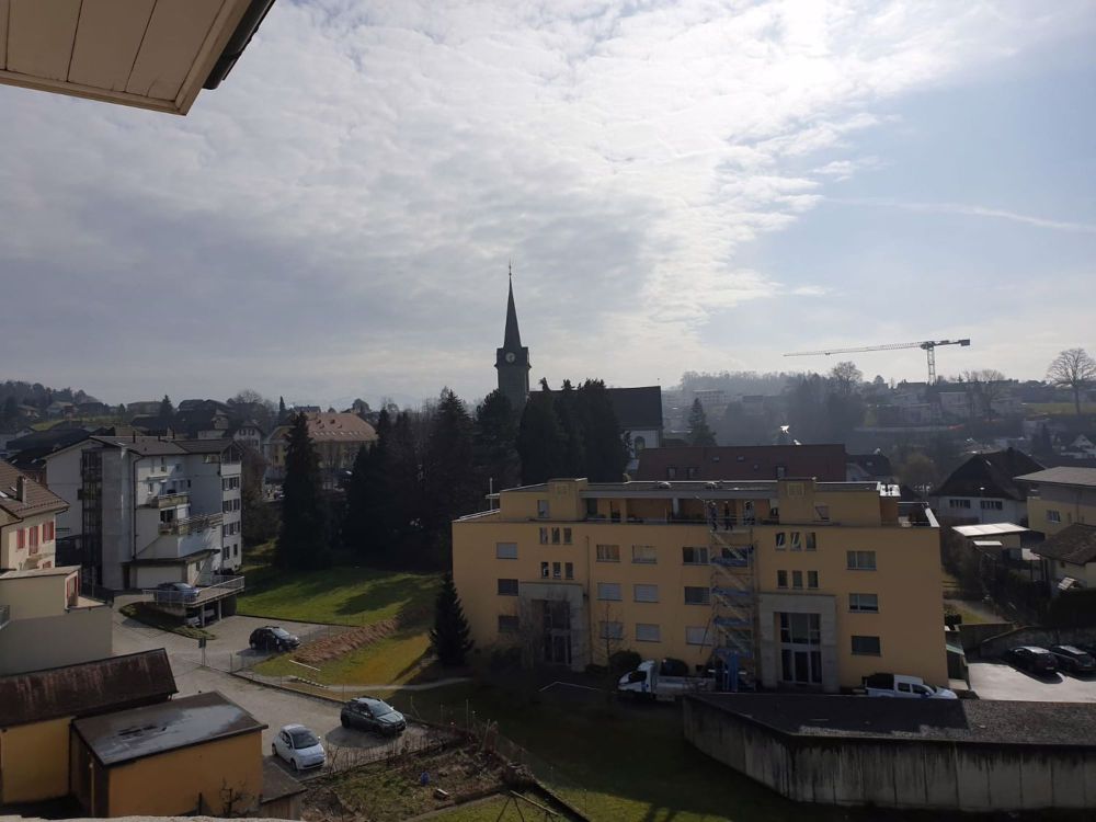 3.5-Zimmerwohnung mit Weitsicht und ganztägiger Sonne - Erstbezug nach gesamt Renovation - Bild 2