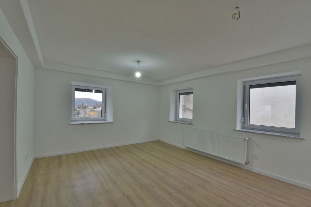 2 ½ Zimmer-Wohnung in Trimbach mieten - Bild 1