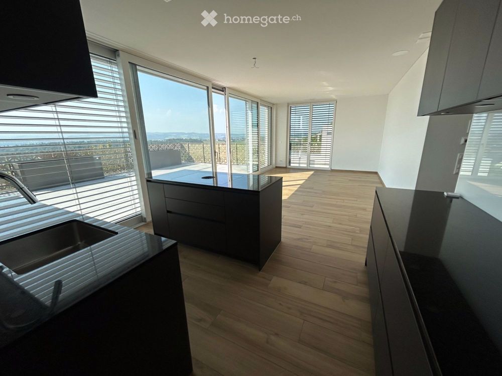 Attika Wohnung mit gr. Sonnenterrasse, Neubau 2023 - Bild 3