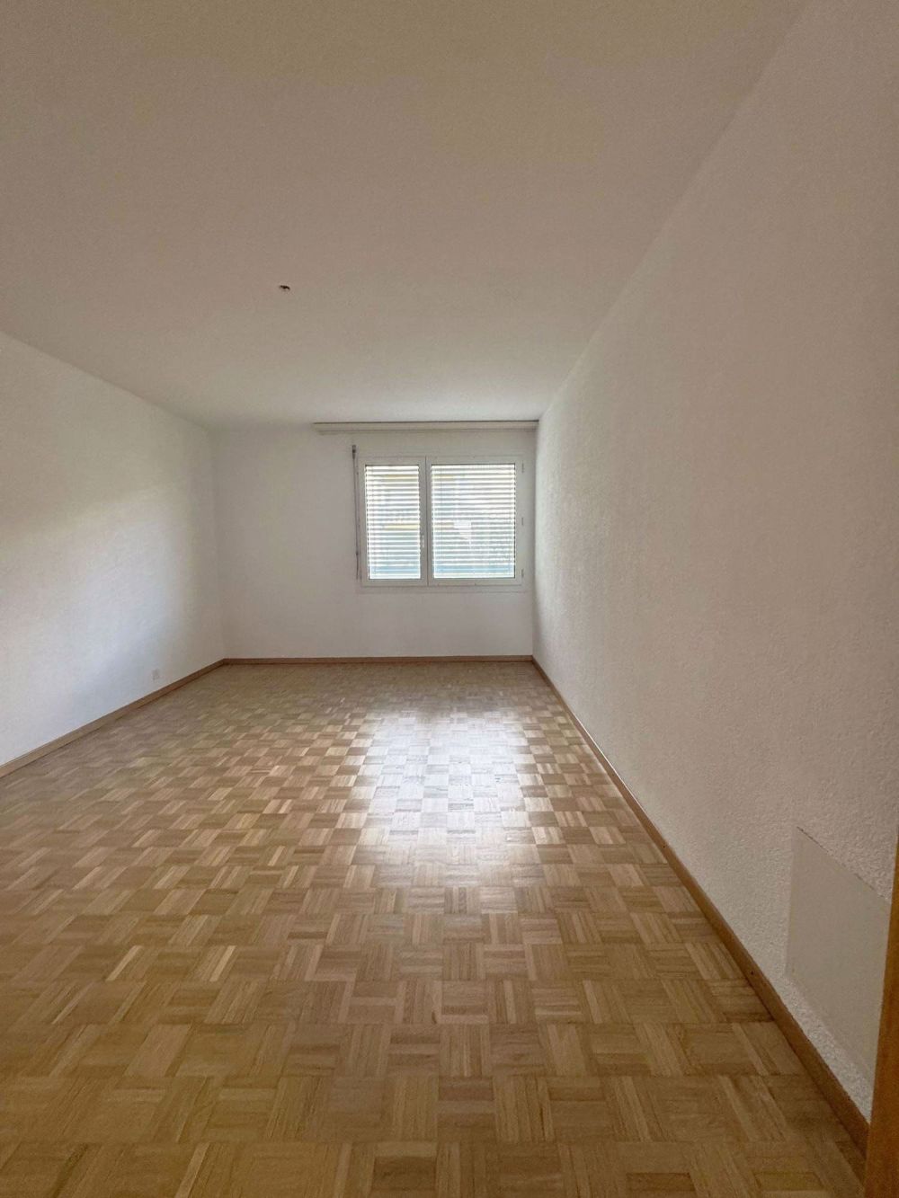 Geräumige 4.5-Zimmerwohnung mit brandneuer Küche - Bild 8