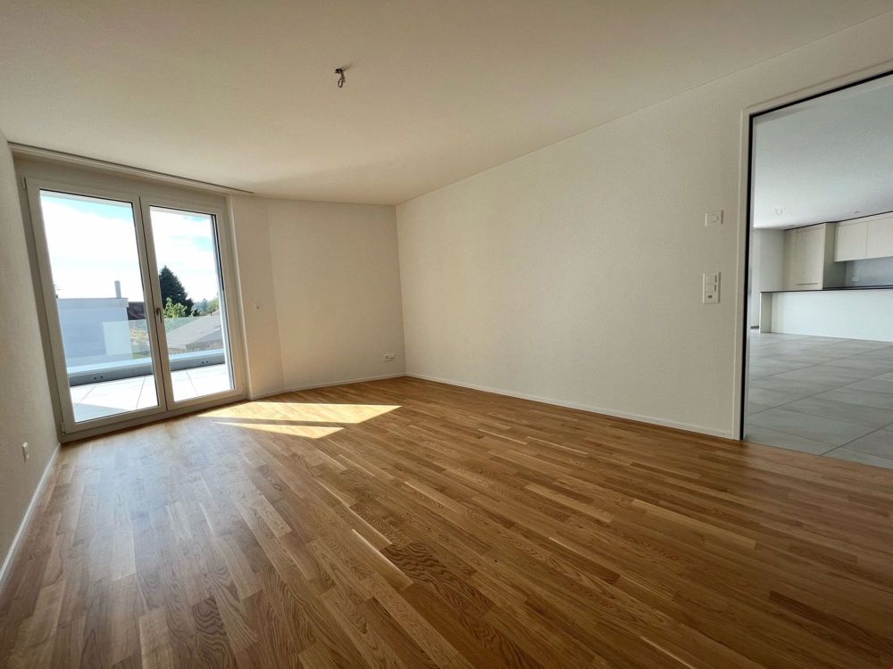 3.5 Zimmer-Attika mit 105 m2 Wohnfläche und 74 m2 Terrasse (C10) - Bild 10