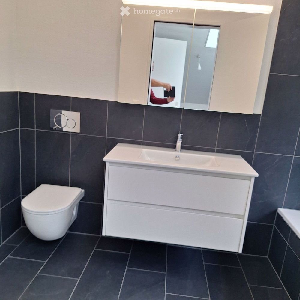NEUBAU- Helle, grosszügige 4.5 Zimmer Dachwohnung - Bild 9