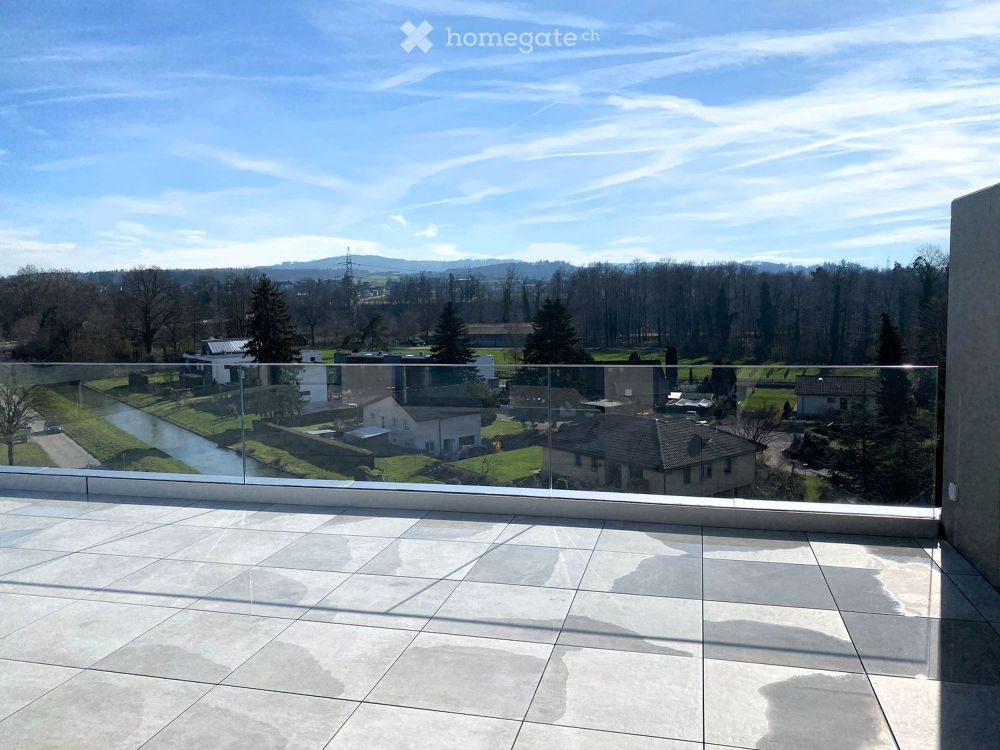 Lichtdurchflutete 3.5 Zi-Attikawohnung mit grosser Süd-Terrasse - Bild 1