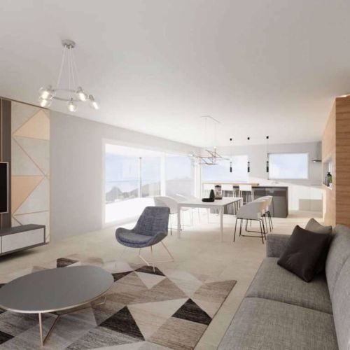 Living spacieux de 64 ou 50 m2 + terrasse de plus de 30 m2