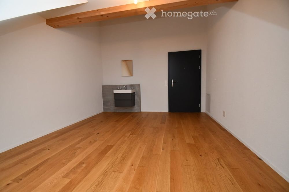 Neubau Mansarden zu vermieten! - DSC_4418