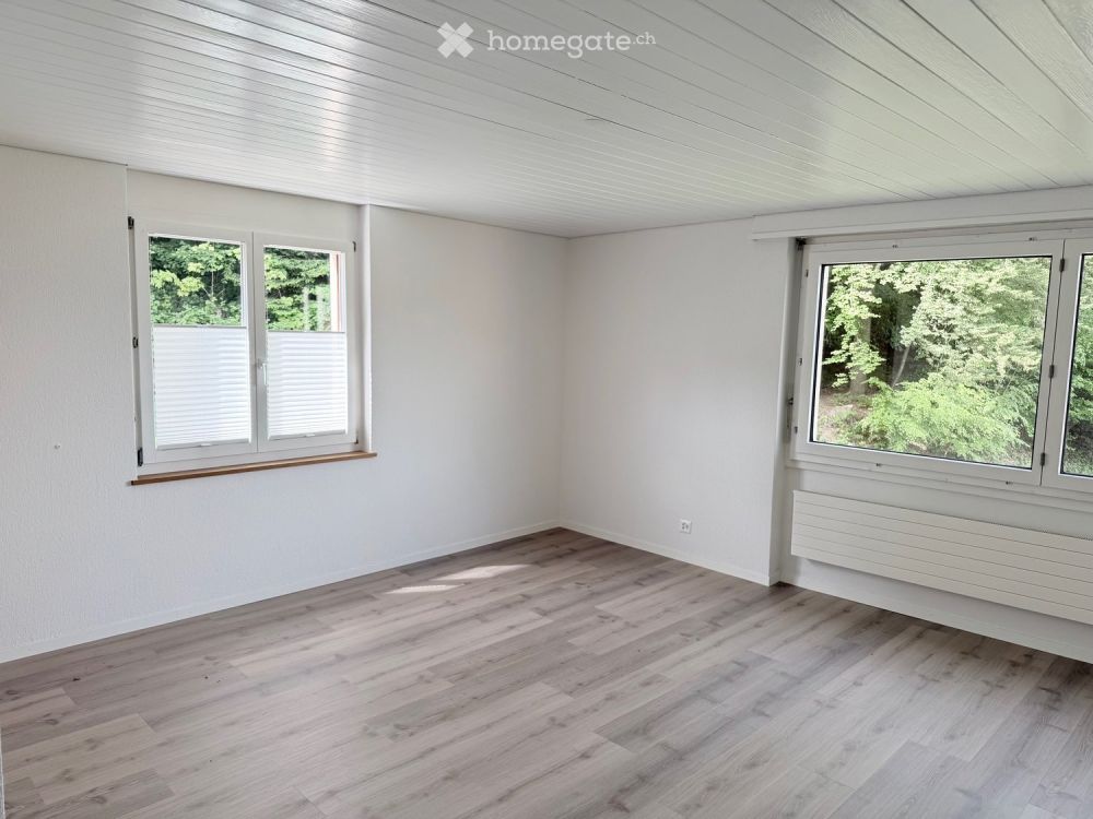 Charmantes Studio-Apartment in Wilen b. Wollerau – sofort verfügbar - Bild 4