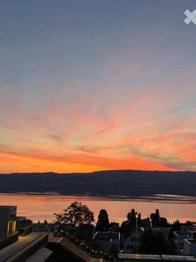 Moderne 1.5-Zimmer-Wohnung mit Seeblick in Horgen - Bild 1