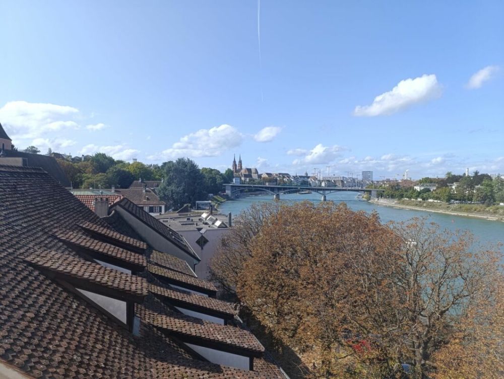 Wohnen direkt am Rhein (St. Alban-Tal) - Bild 5