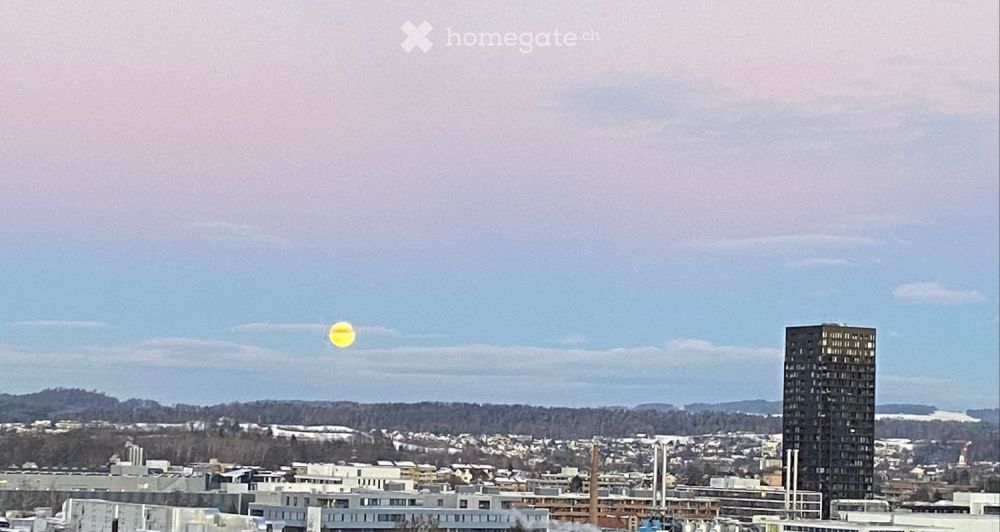 Modern 2.5-Room Apartment with unblocked panorama Views - Bild 13