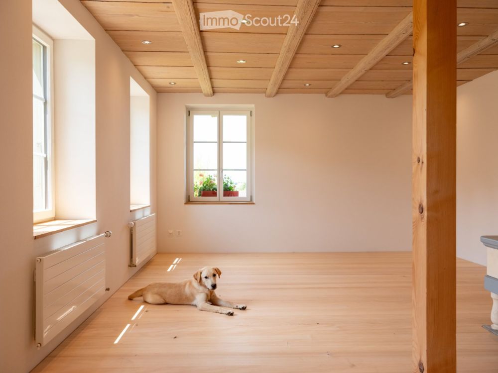 Neue moderne 2.5 Zi. Wohnung mit Charme in Bauernhaus im EG - Bild 10