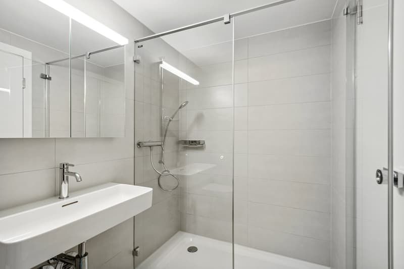 Schöne Singlewohnung in Küsnacht - Bild 2