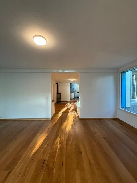 Erstvermietung nach Renovation, grosszügige 3.5-Zimmer-EG-Wohnung mit Terrasse und Garten - Bild 6