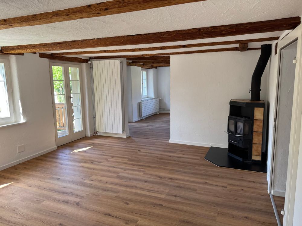 Erstbezug nach Renovation - 3 Zimmerwohnung an ruhiger Lage - Bild 1