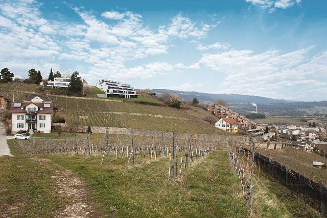 Les terrasses de Sachet, villas de 5.5 pièces à Cortaillod - Bild 3