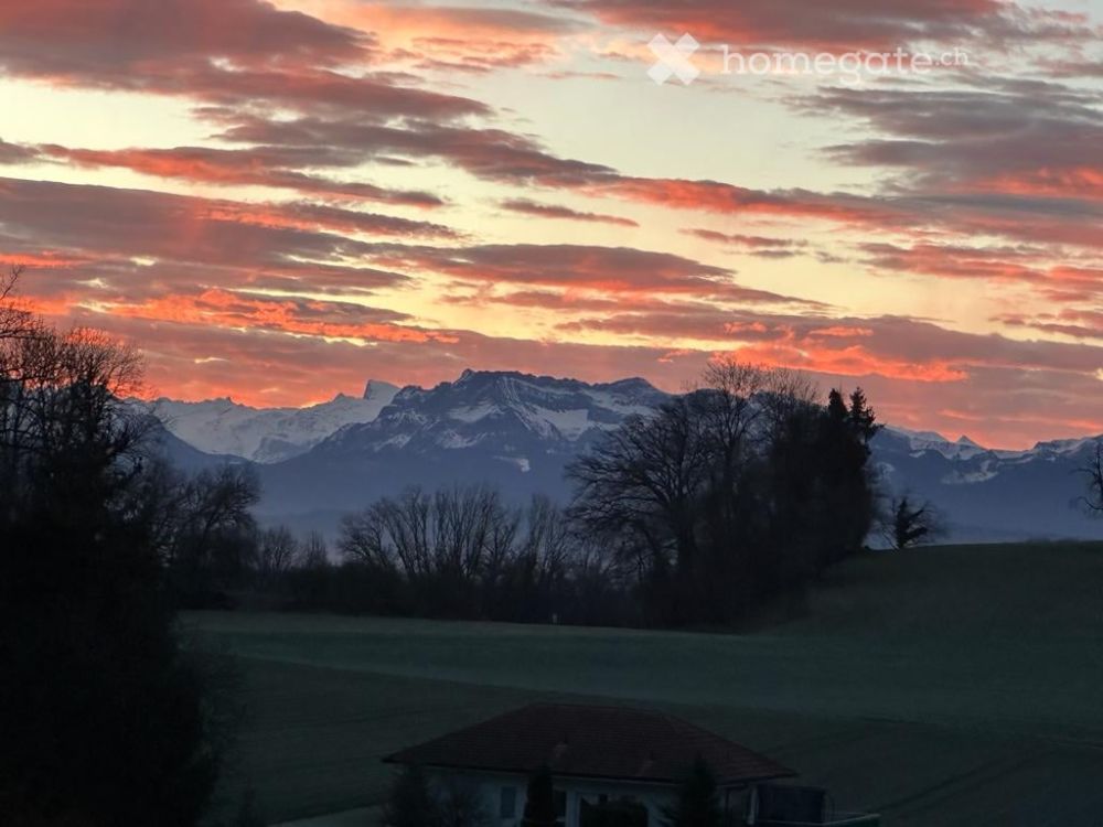 Freistehendes Einfamilienhaus in Reitnau - Bild 6