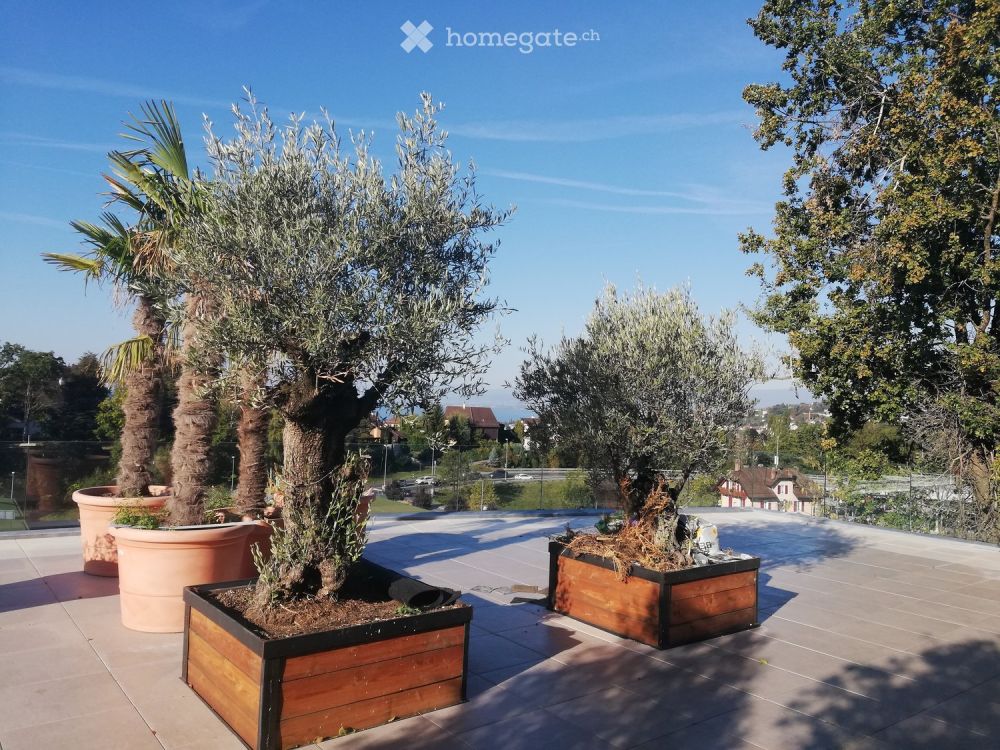 Lutry: Villa terrasse en attique 200 m2, 5/6.5 p, gde terrasse vue lac 160 m2. Migros & gare à 2 pas - Bild 4