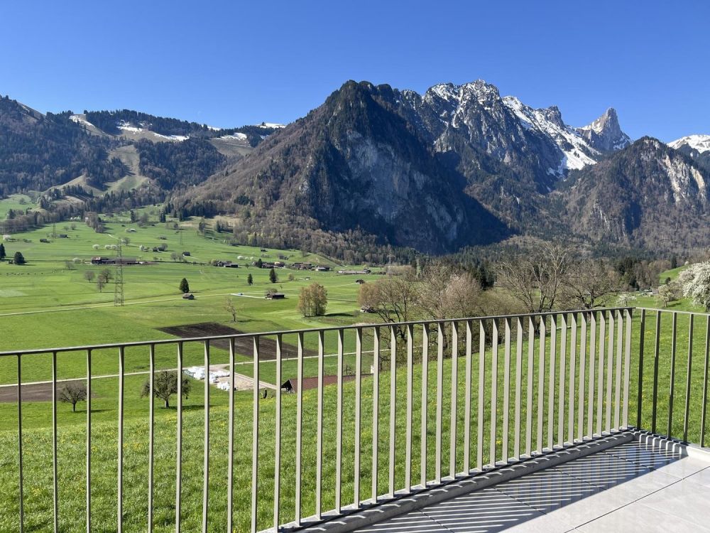 Neubau-Erstvermietung | 5.5-Zimmer DEFH | WF über 140 m² | Unverbaubare Panoramaaussicht - Bild 5