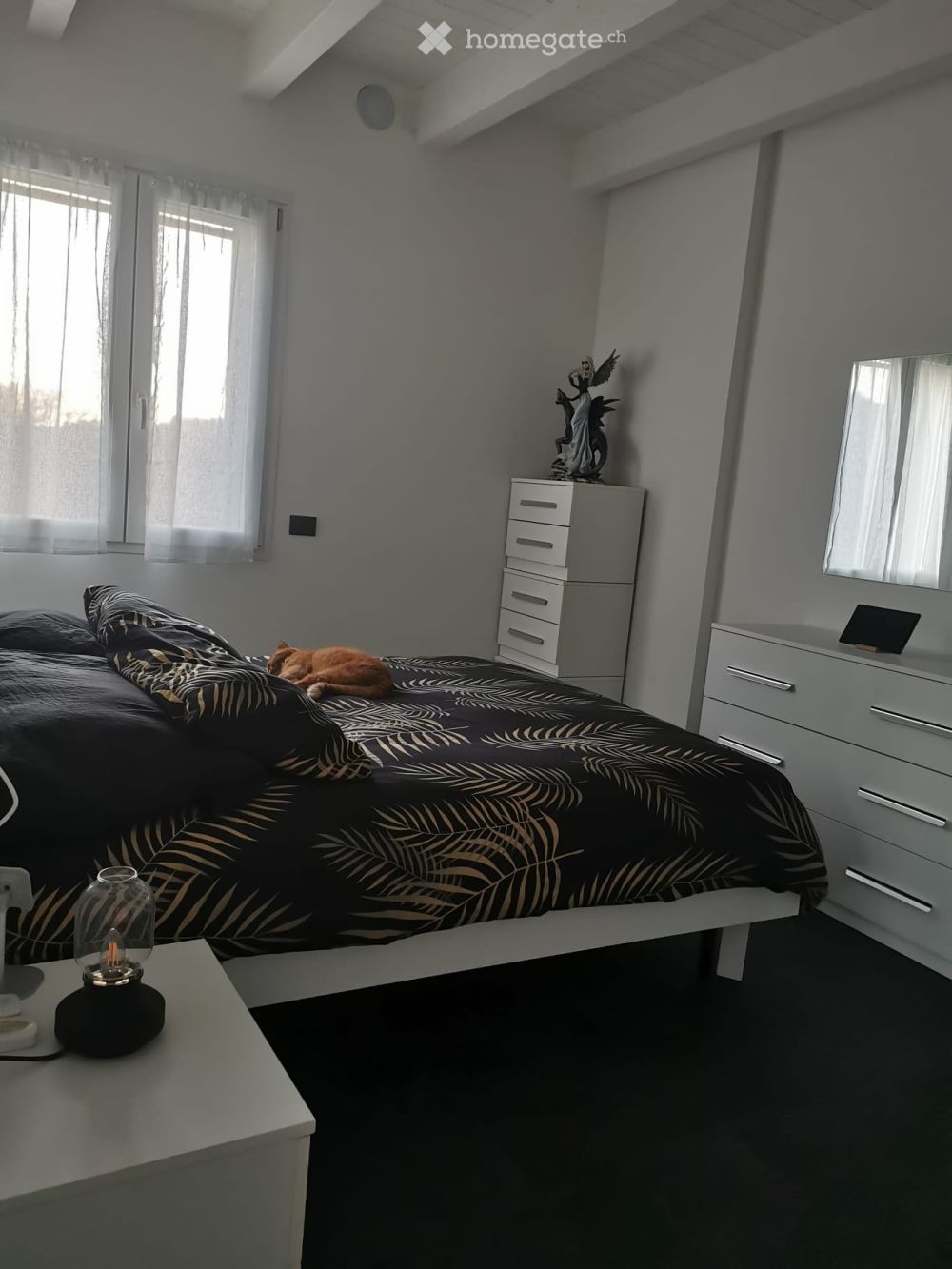 Affittasi ampio 2,5 - Bild 5