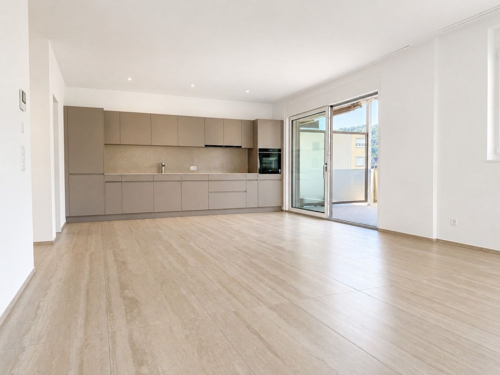 Erstvermietung: Moderne 4.5-Zimmer-Neubau-Wohnung mit Terrasse und schöner Aussicht in Trimbach - Bild 1