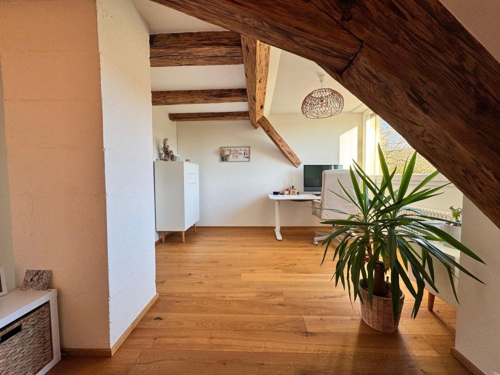 Renoviertes, historisches Doppel-Bauernhaus in Himmelried - Bild 5