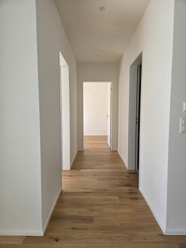5 1/2-Zimmer-Wohnung - Neubauprojekt "Rheincity" - Bild 8