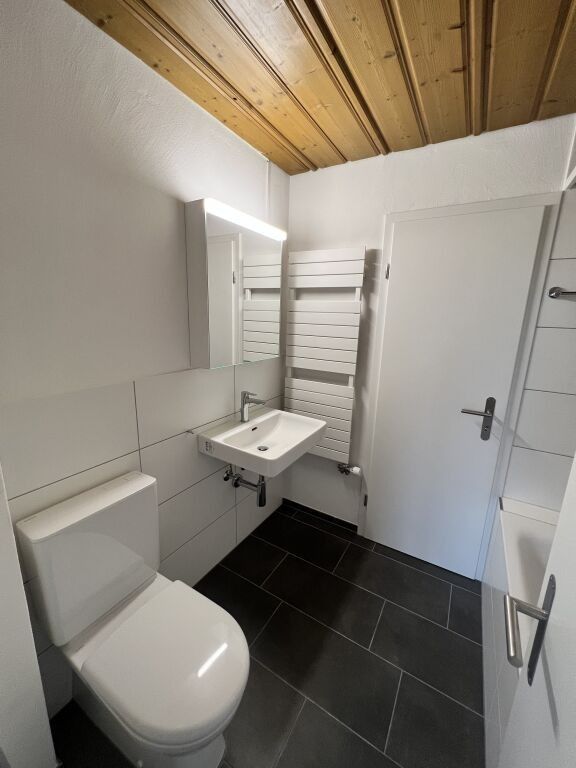 Erster Mietzins geschenkt: Neu sanierte 2.5-Zimmerwohnung zu vermieten - Badezimmer