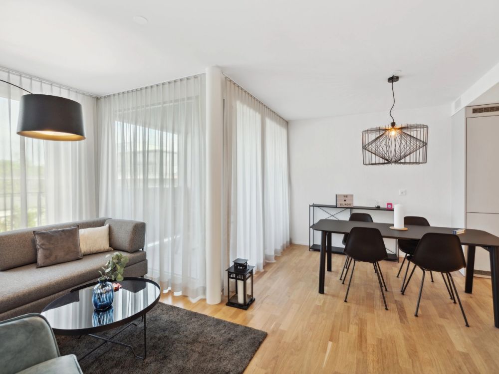 Basel-Münchenstein - 7 min. vom Basel SBB Bahnhof - Bild 3