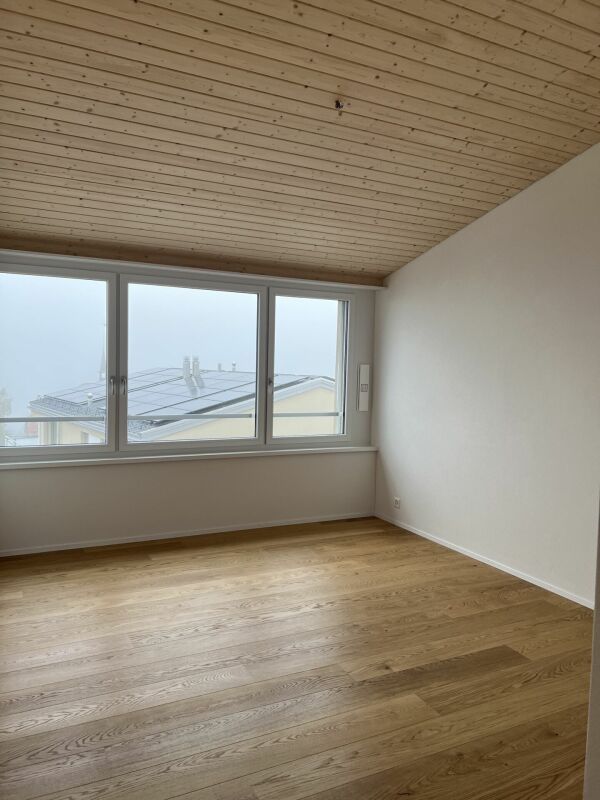 Grosse Dachwohnung mit traumhafter Aussicht - Bild 12