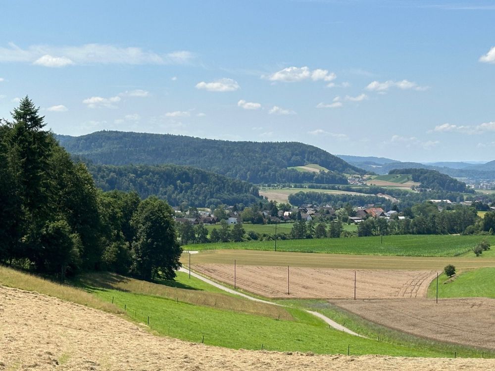 Ruhige Lage im Herzen von Glattfelden - Bild 12