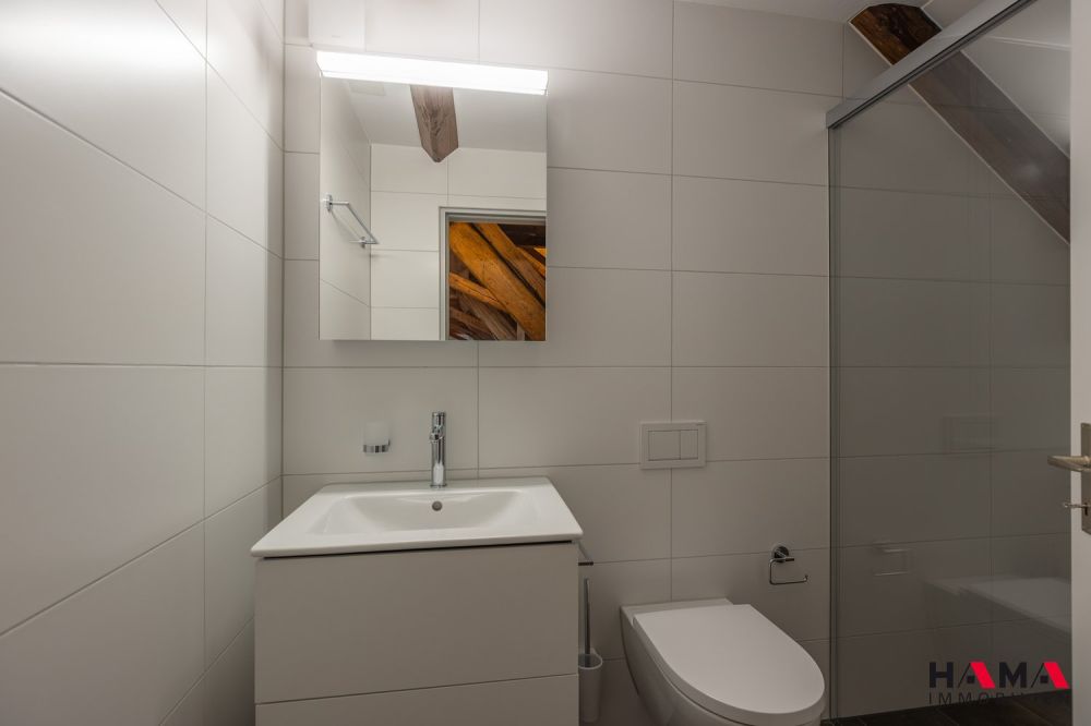 ERSTVERMIETUNG 5.5-Zimmer-Loft-Wohnung mit Balkon - Bild 9