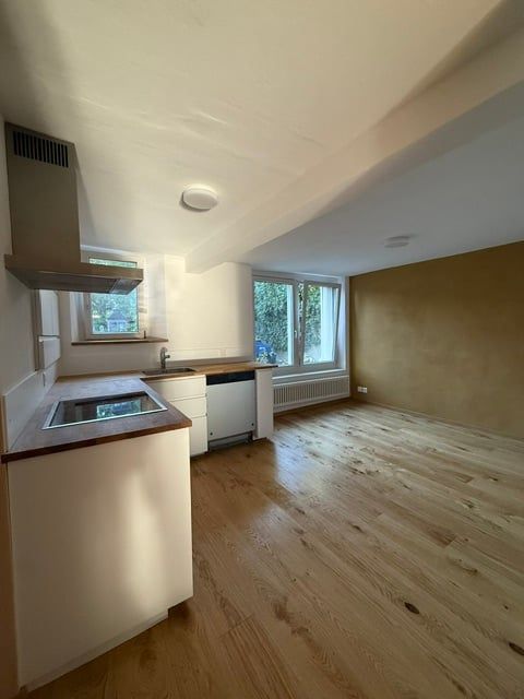 Erstvermietung nach Renovation, grosszügige 3.5-Zimmer-EG-Wohnung mit Terrasse und Garten - Bild 1