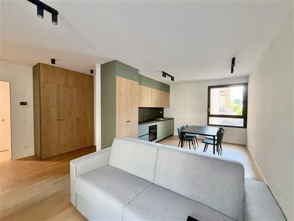 Lugano: Appartamento arredato  1.5 locali - Soggiorno