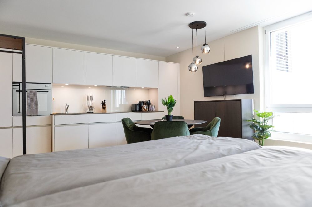 Grosszügiges möbliertes Studio mit Terrasse, Parkplatz & Co-Working-Zugang in Embrach, Zürich - Bild 2