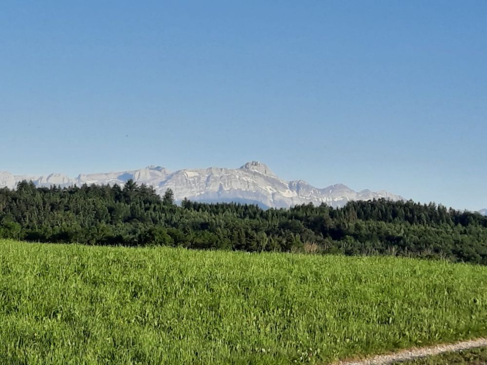 Exklusives Wohnerlebnis mit Weitsicht: Moderne 4.5-Zimmer-Wohnung mit Luxusausstattung - Aussicht Balkon