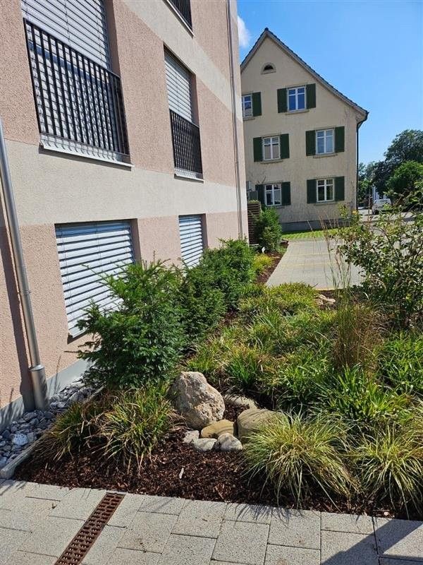 Freie 3.5 Zimmer Wohnung im Eigentumsstandart in Pfäffikon ZH - 727415d8-d2ce-44c9-a6d2-7d5eba18727f