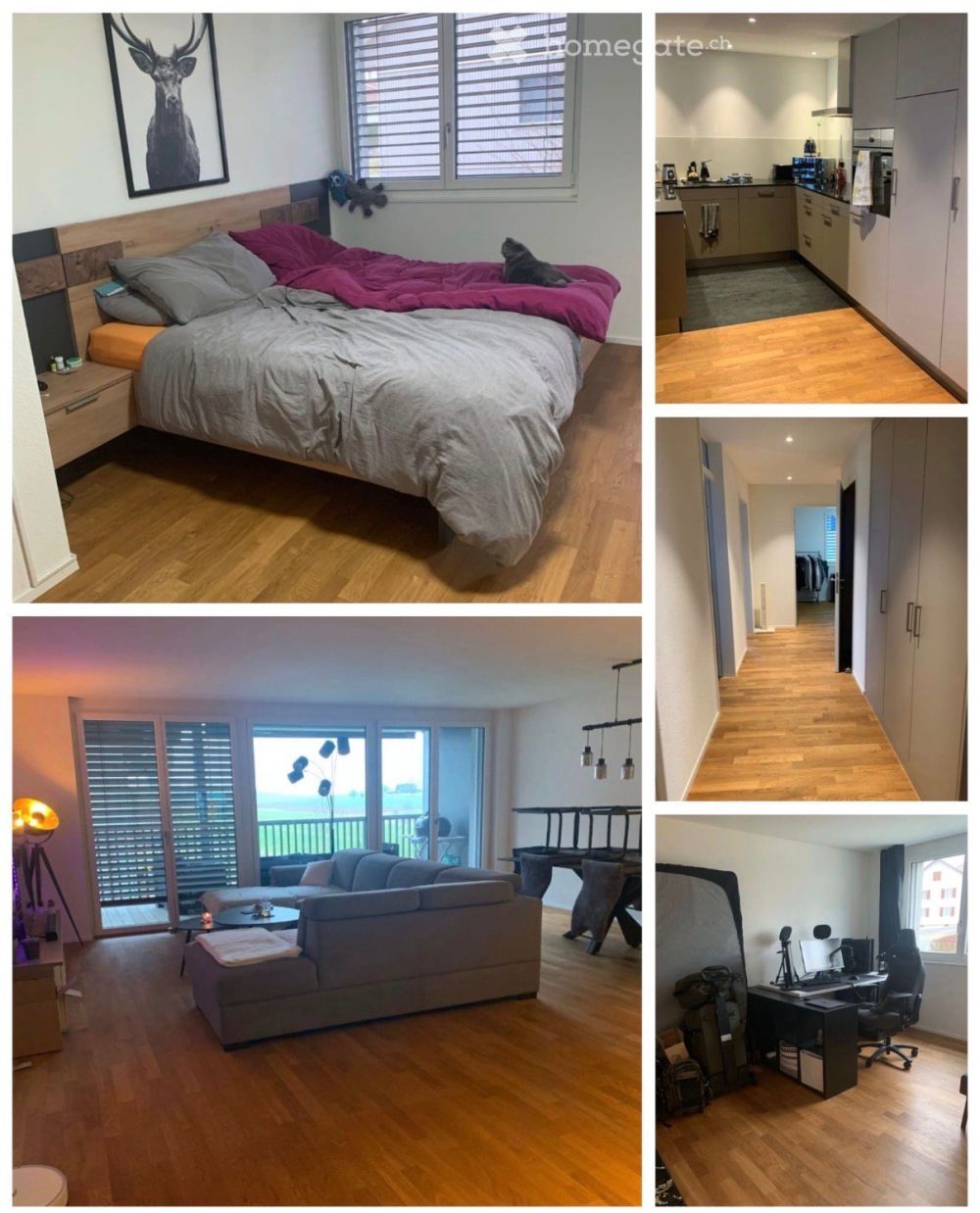 Helle 5.5-Zimmer-Neubauwohnung mit Balkon und schöner Aussicht in Bettwil - Bild 2