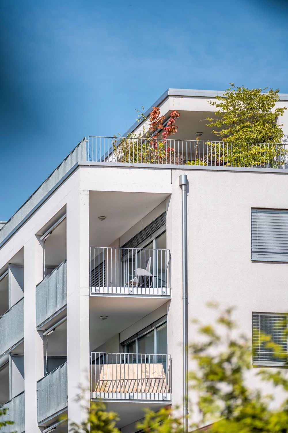 Moderne und helle 3.5-Zimmerwohnung mit grossem Balkon in Pieterlen - Bild 2