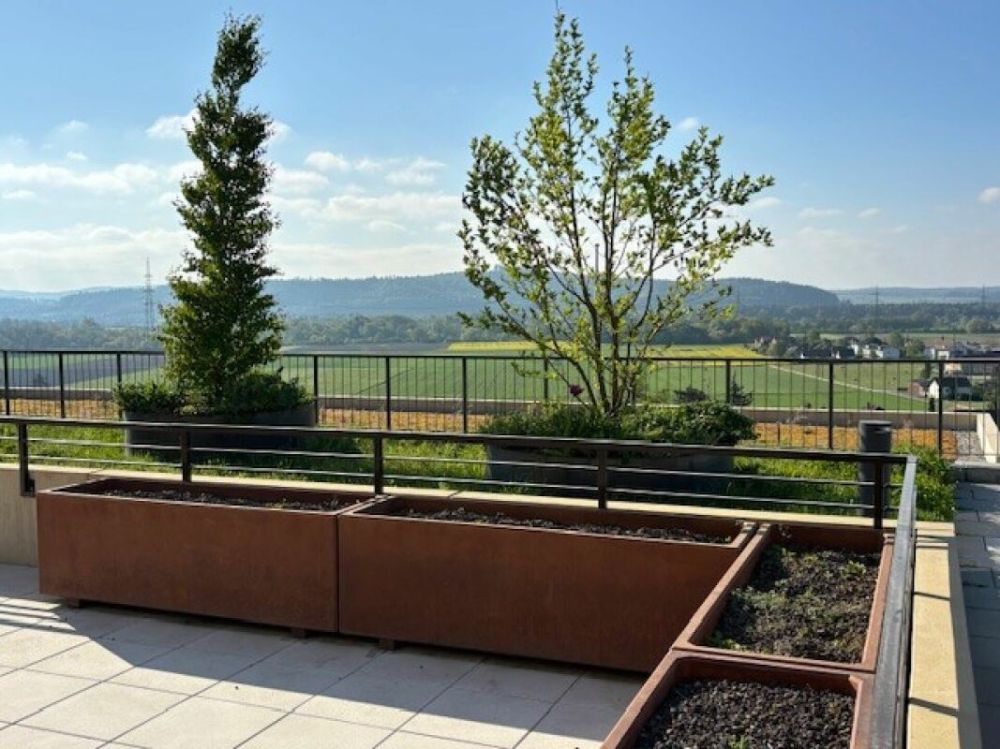 4½-Zimmer-Terrassenhaus mit Aussicht auf Alpen und Aarelandschaft - Bild 9