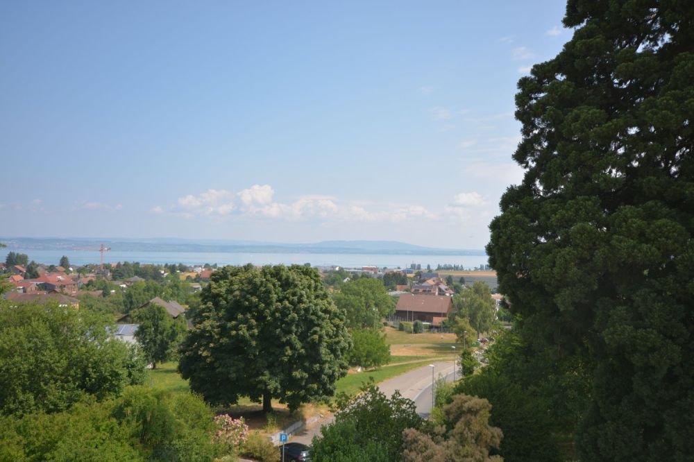 I n 8595 A l t n a u - D a s D o k t o r h a u s s e i t 1 8 3 9. - Bild 12