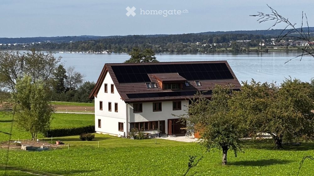 3.5-Wohnung am Greifensee per 01.10.2026 zu vermieten - Bild 1