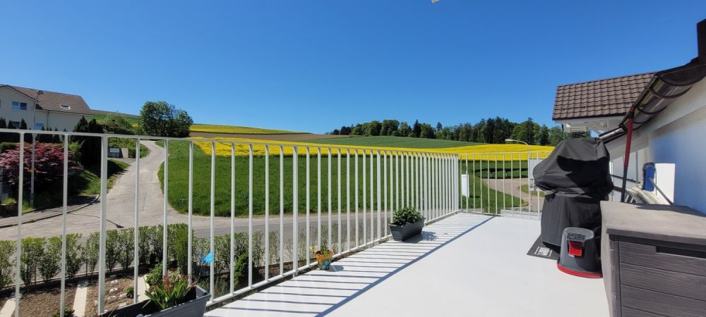 Helles WG-Zimmer in 4.5-Zimmer-Dachwohnung in ruhiger, grüner Umgebung - Bild 2