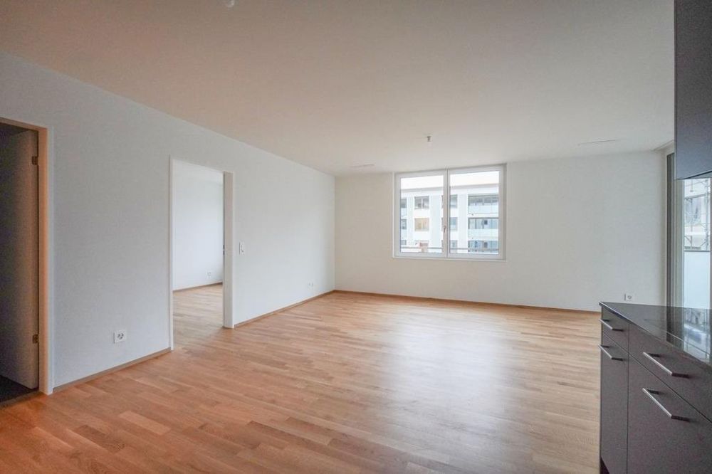 ERSTVERMIETUNG IN LIESTAL - jede Wohnung mit eigenem Waschturm - Ess-Wohnzimmer_1.jpg