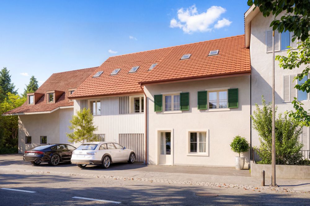 Neu- bzw. Umbau Doppeleinfamilienhaus in Zwingen - Bild 7