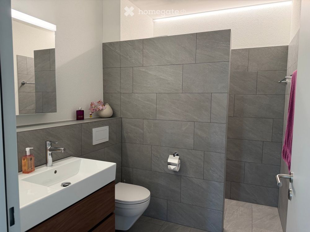 Aussergewöhnliche Neubauwohnung im Zentrum von Meisterschwanden am Hallwilersee - Bild 13