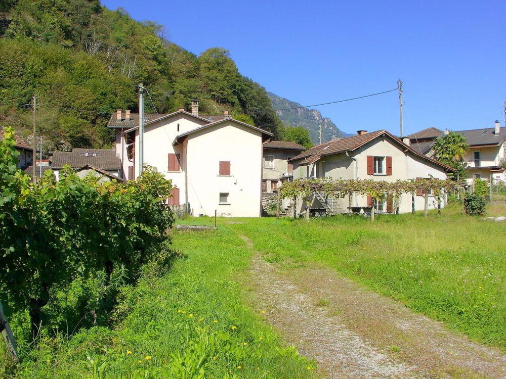 Genossenschaftliche Neubau-Siedlung mit 1½ - 3½ Zimmerwohnungen - Bild 3