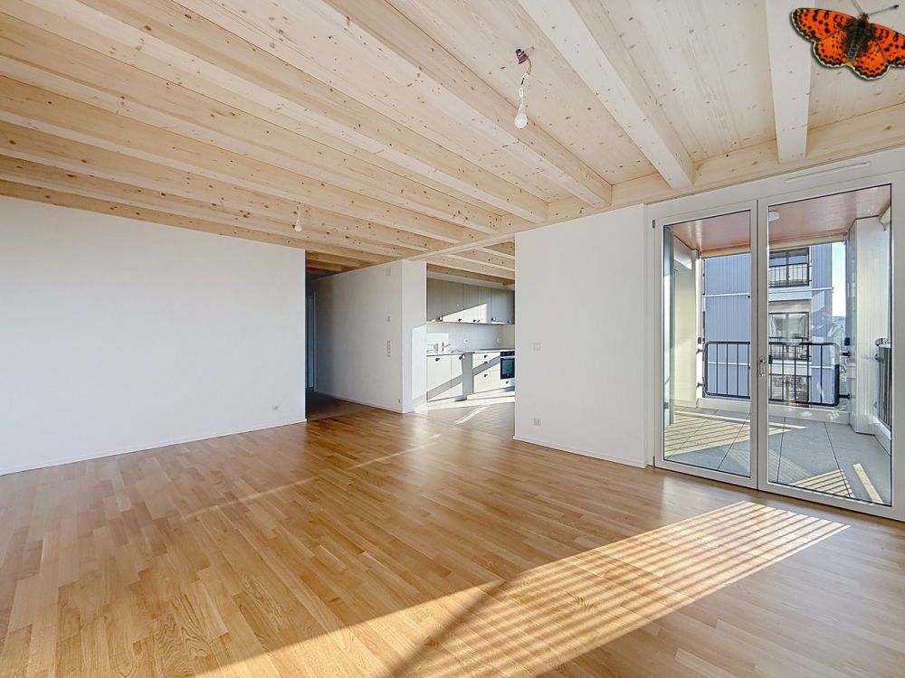 3½ Zimmer - Neu mit Balkon - Salon
