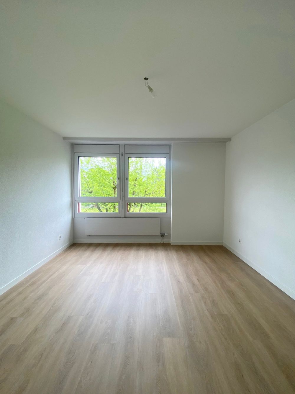 Erstbezug nach Sanierung - in grüner Umgebung - Bild 5