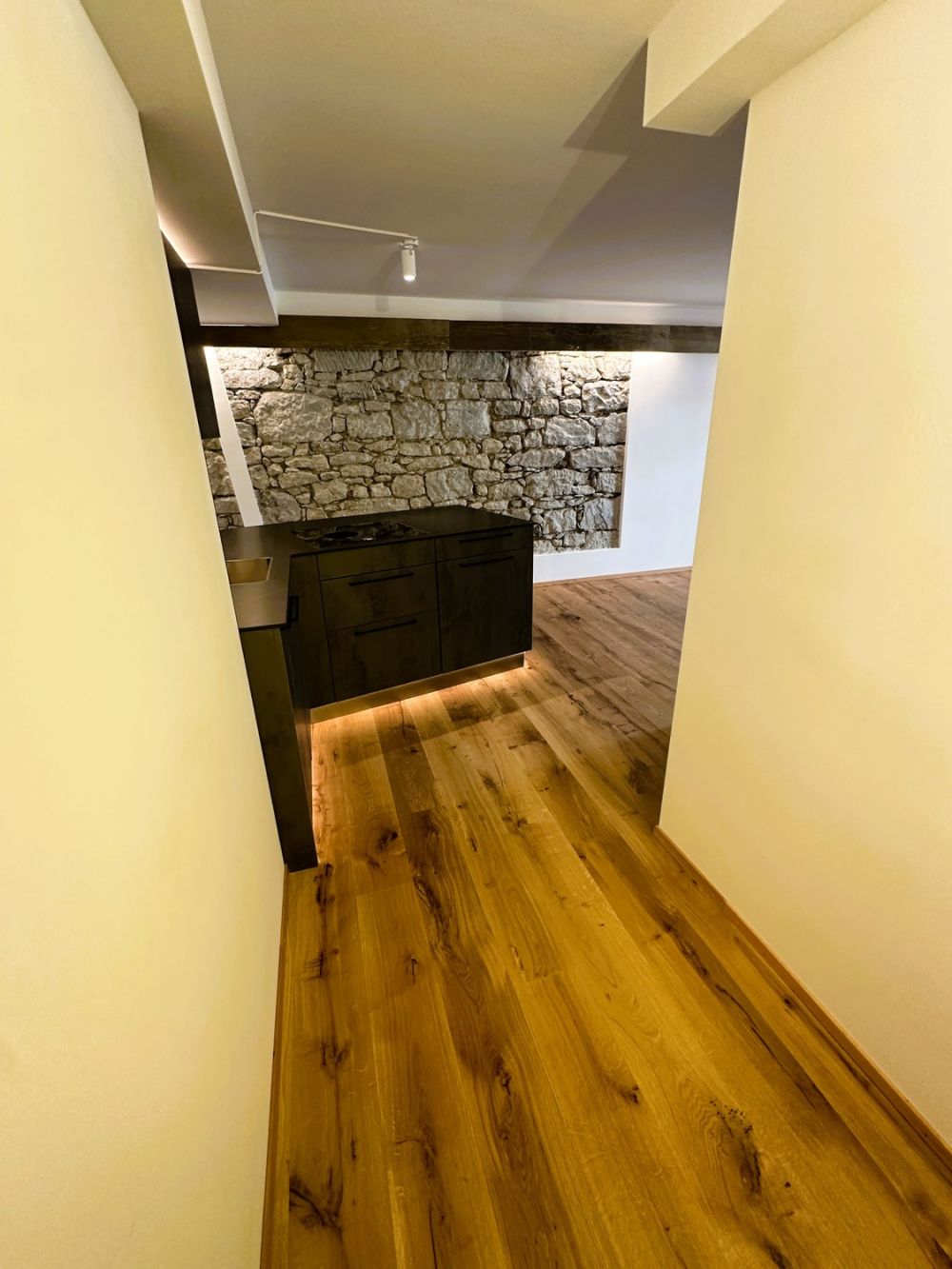 Letzte Wohnungen - Erstvermietung nach Totalsanierung - Eingangsbereich