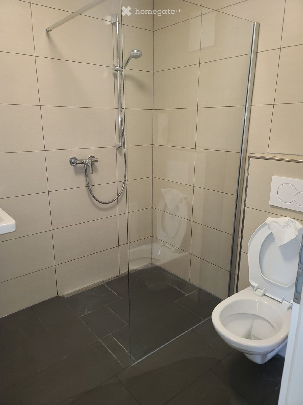 2.5-Zimmer-Neubau-Wohnung in ruhiger Lage von Neunkirch - Bild 2